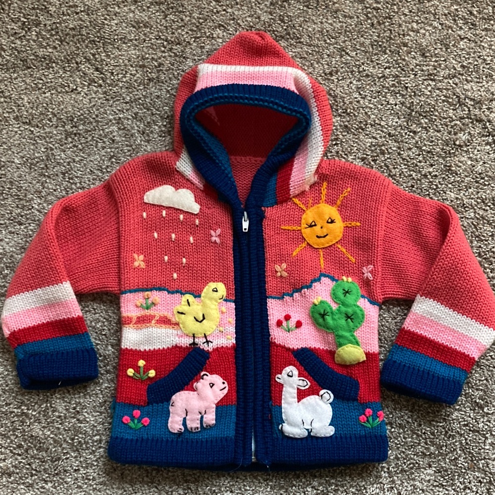 Colorful Embroidered Applique Animals Knit Hoodie Cardigan Sweater SZ 3T? READ